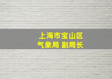 上海市宝山区气象局 副局长